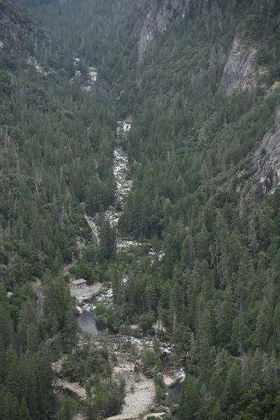 DSC_4510 (Large).JPG